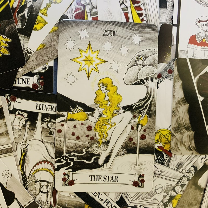 Cartas de tarô com espelho sec - Board Game Of Life avaliação e preço